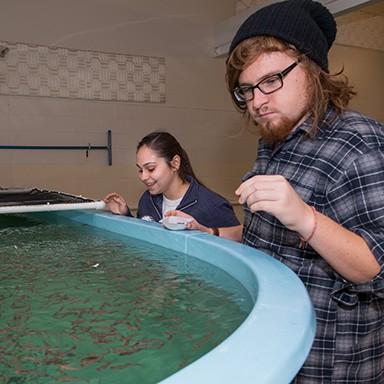 两个学生检查一个水产养殖场