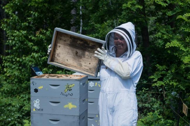 一位英国的养蜂人学生打开蜂巢的盖子